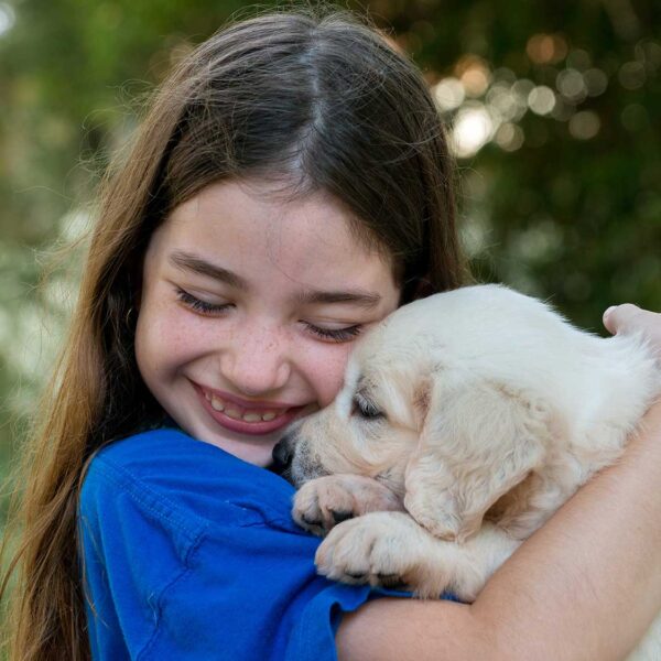 Traumatherapie-Hunde