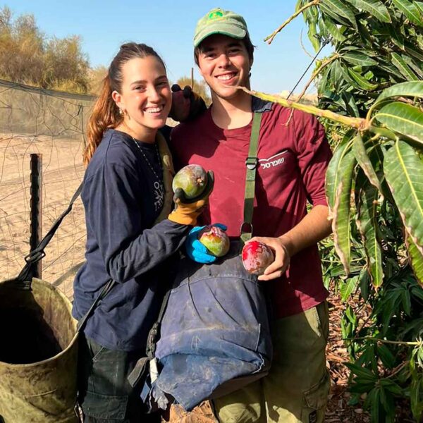 Gewächshaus Arava-Campus