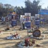 Nova-Festival-Memorial