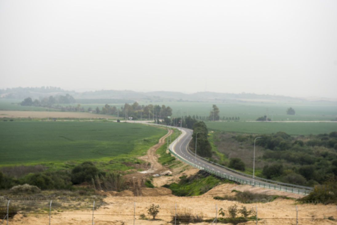 Zufahrtsstraße zum Moschaw mit Schutzbäumen