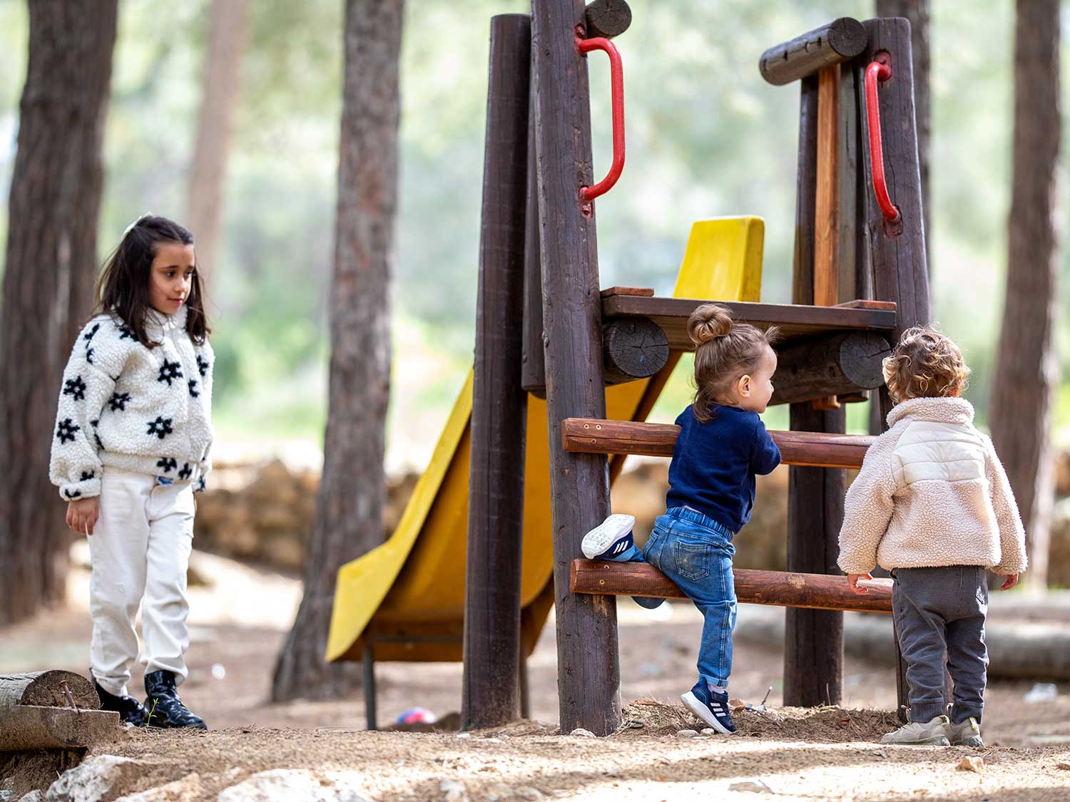 Spielplatz im Wald der deutschen Länder – Bild 4