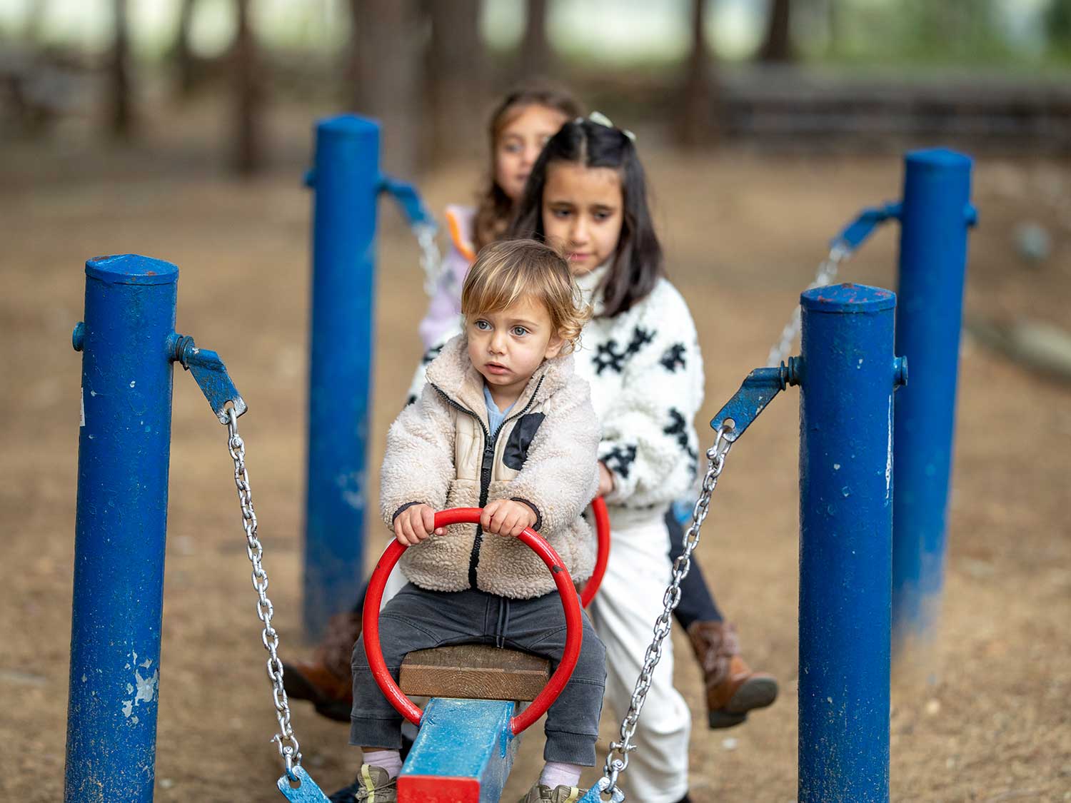 Spielplatz im Wald der deutschen Länder – Bild 2