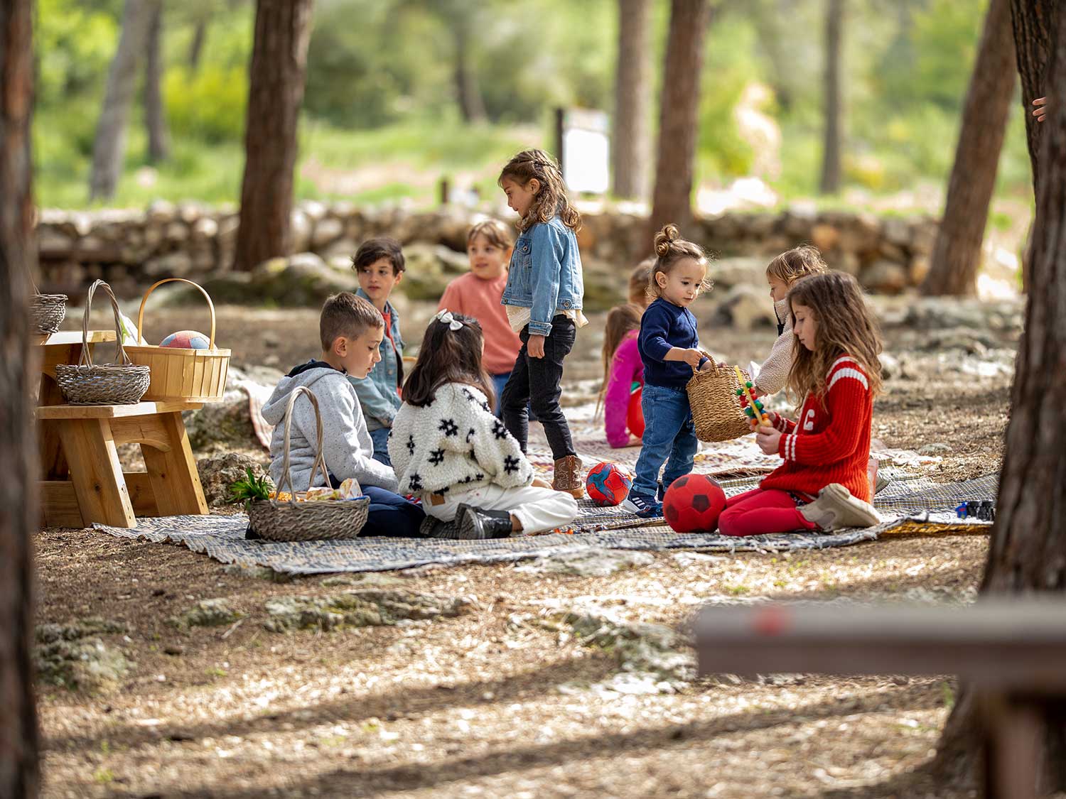 Spielplatz im Wald der deutschen Länder – Bild 3