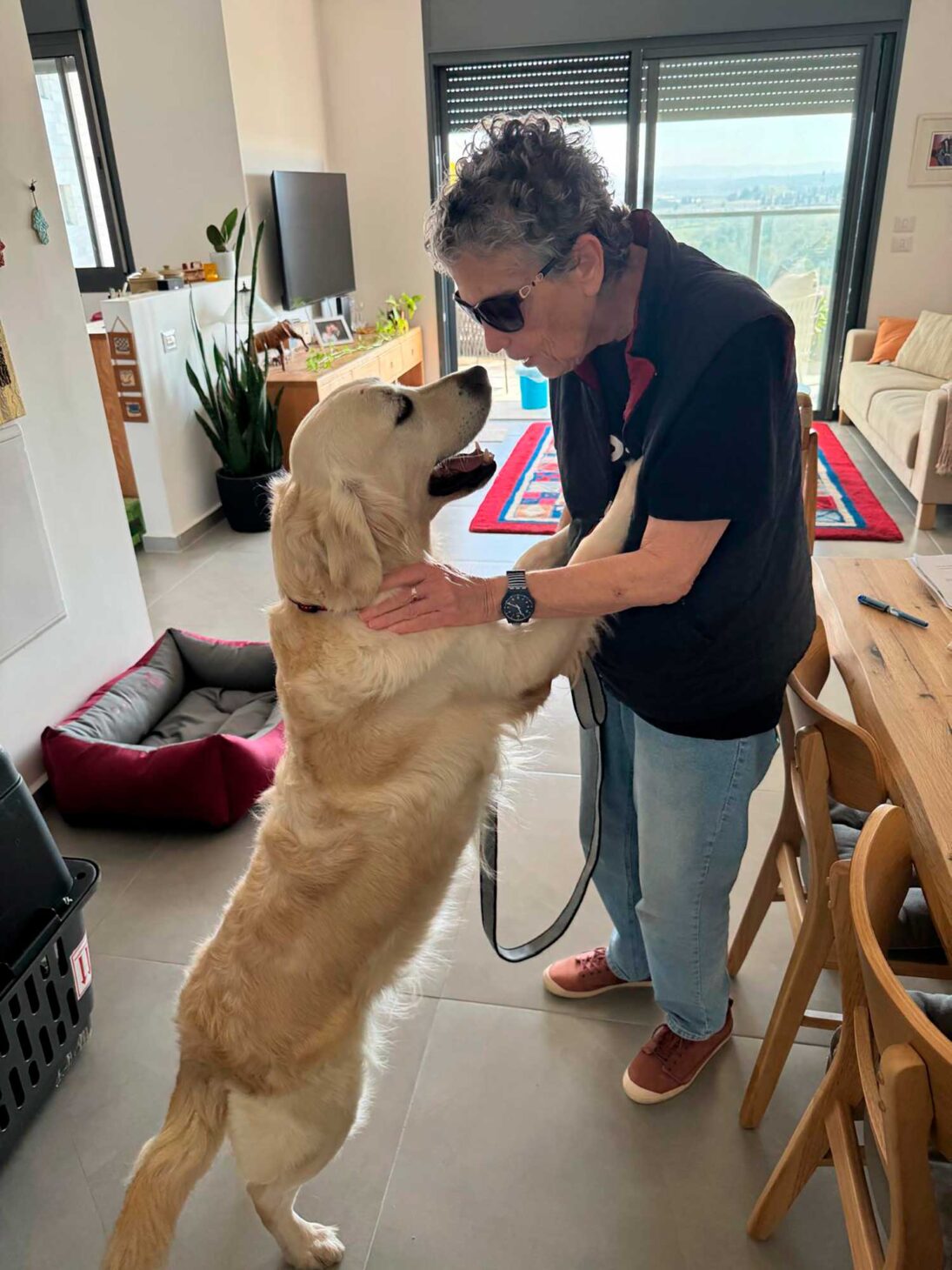 Traumatherapie-Hunde – Bild 7