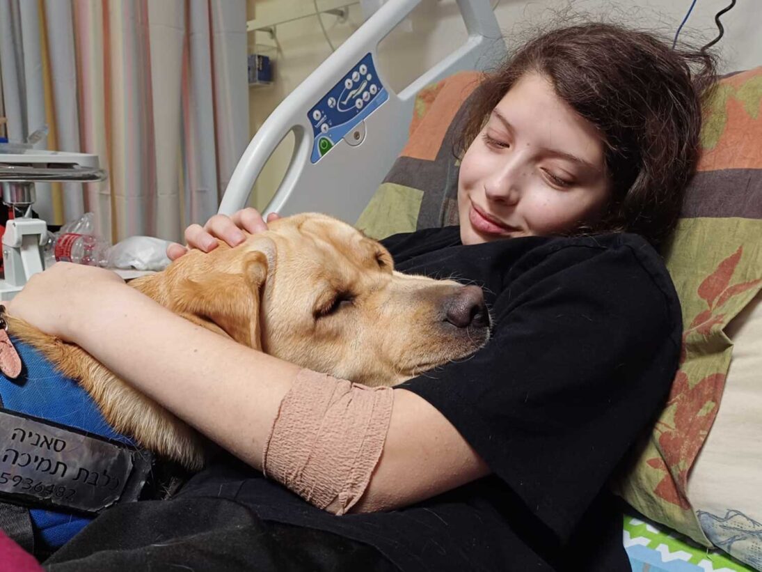Traumatherapie-Hunde – Bild 3