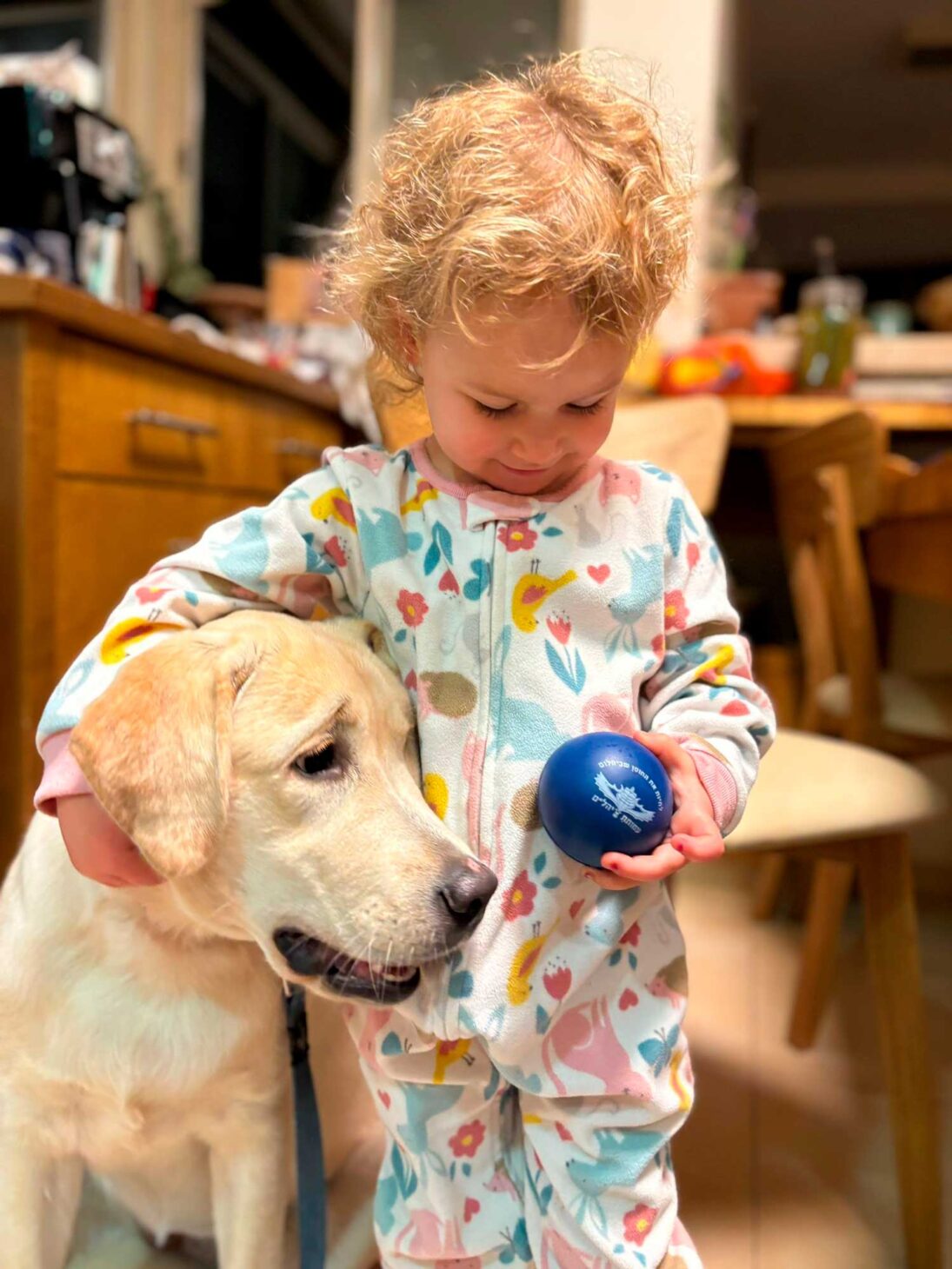 Traumatherapie-Hunde – Bild 8